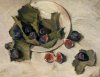 1959 - Natura morta con fichi